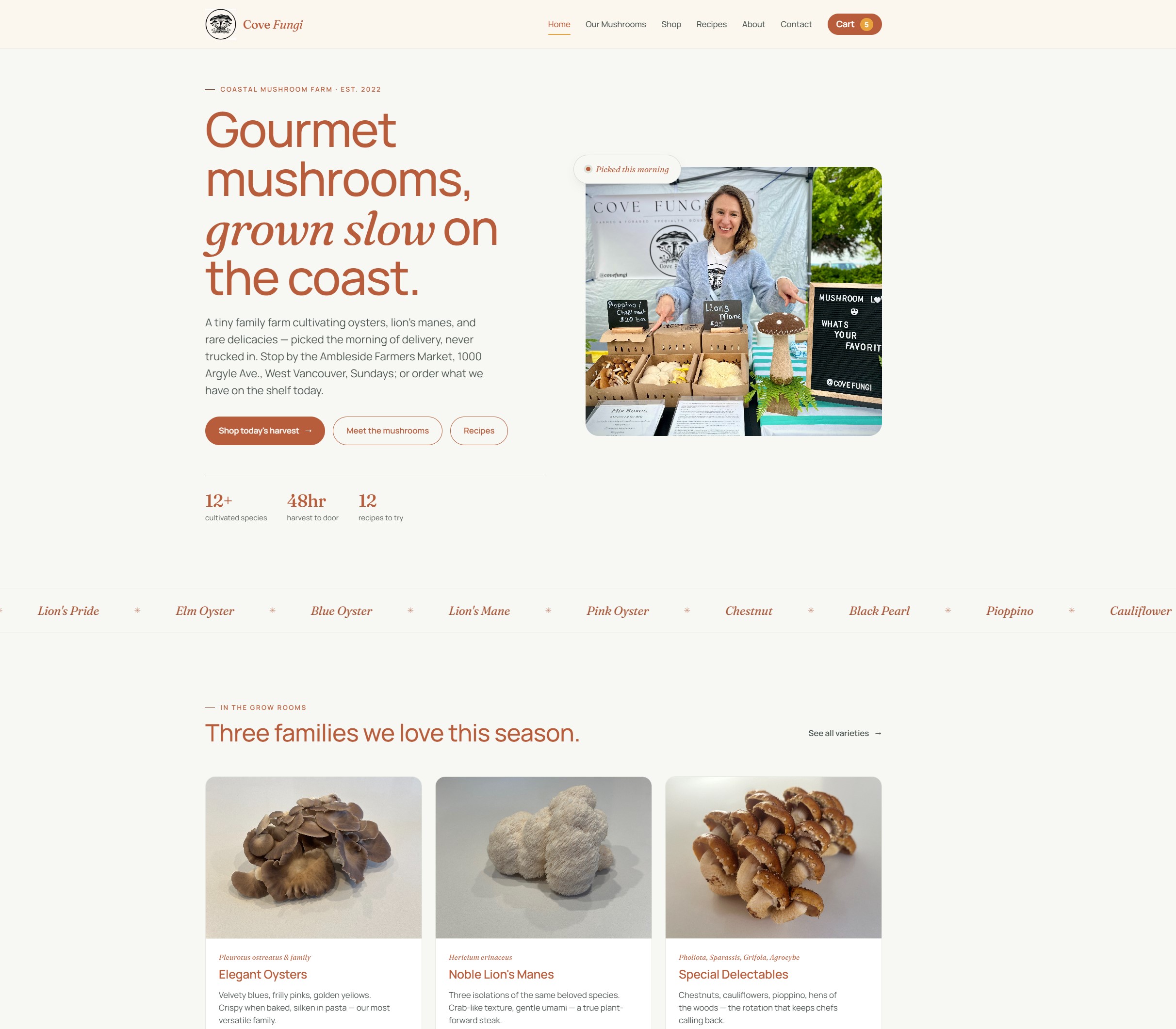Cove Fungi gourmet mushroom farm